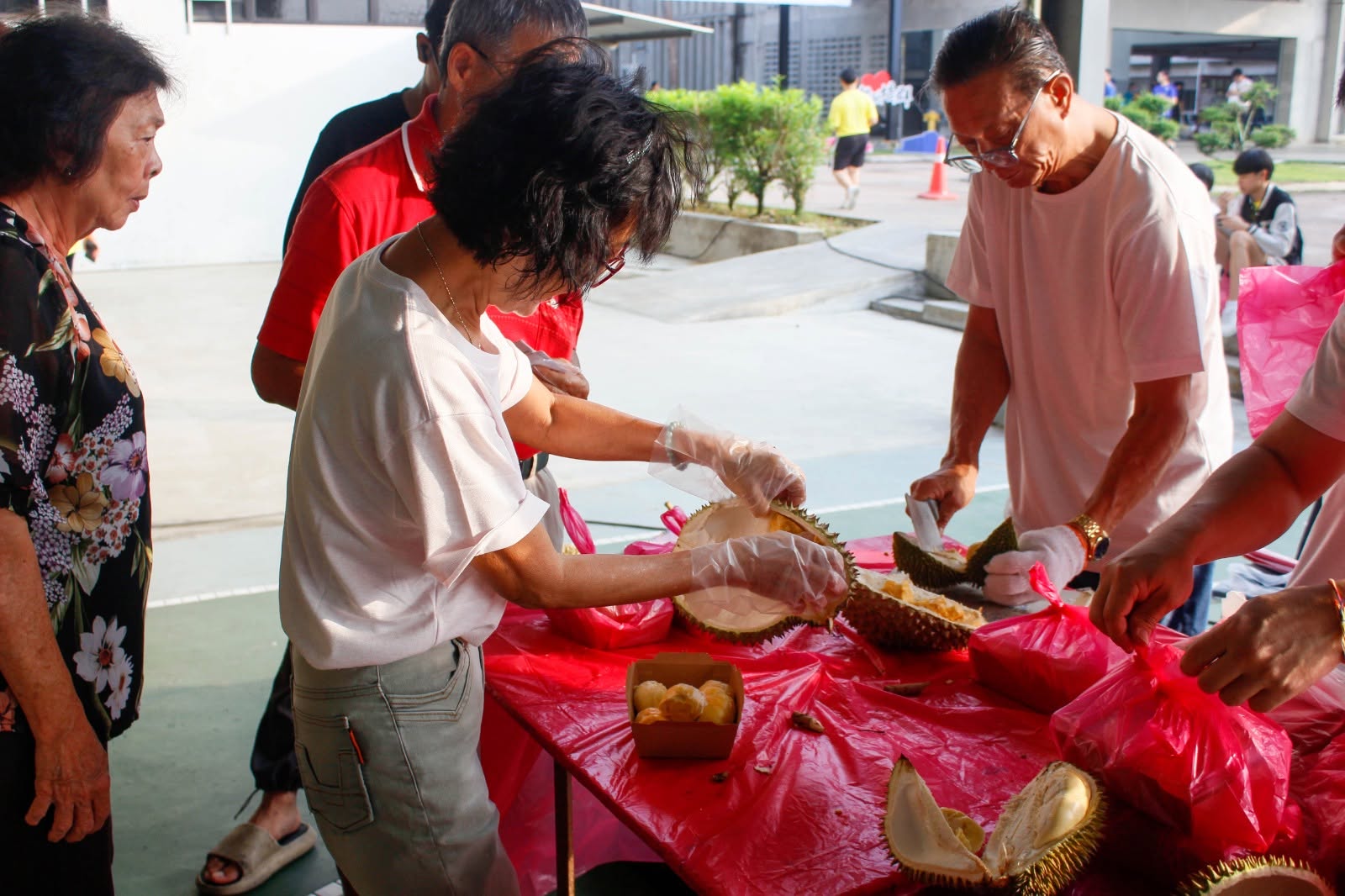 523950079_1306912971444007_2452491375536887236_n