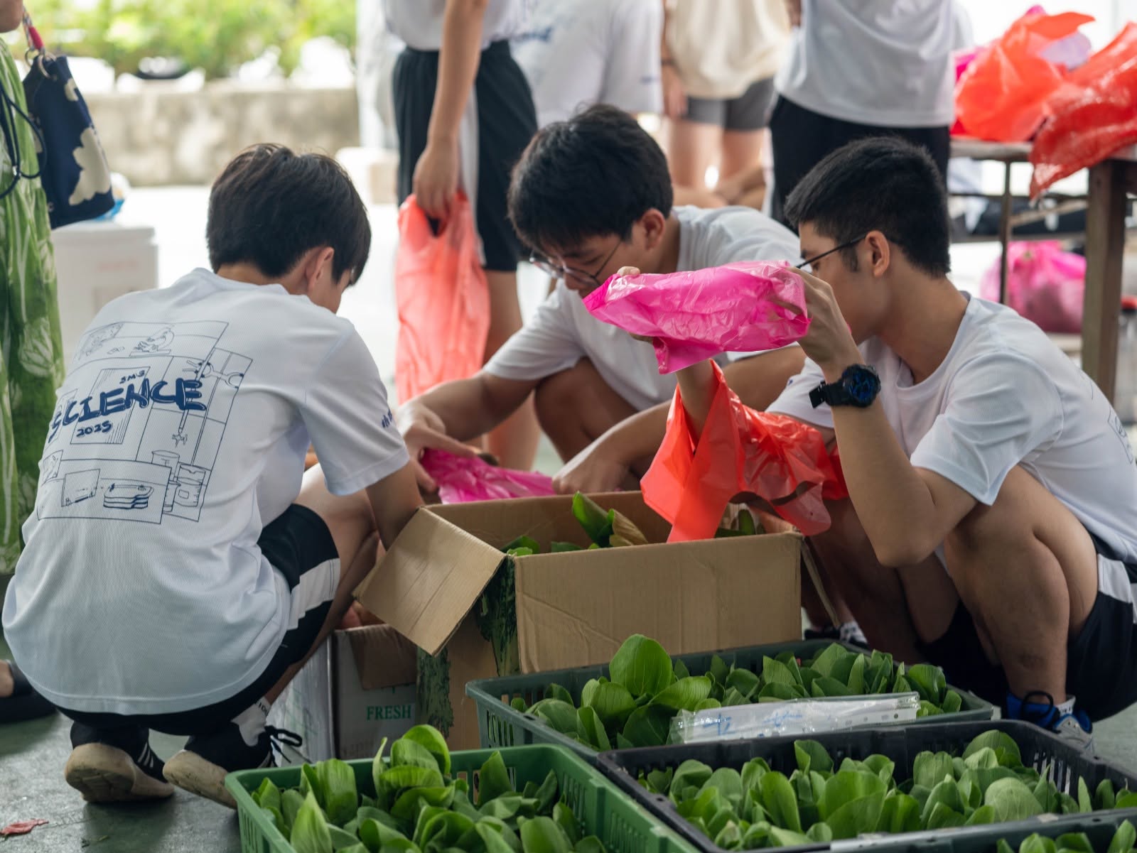 524958965_1306913528110618_6490260590793790685_n